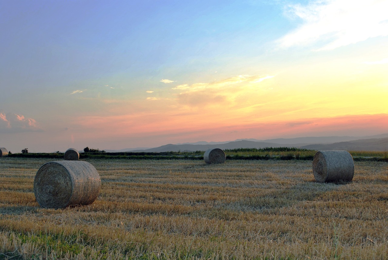 Best Eco-Farming Techniques to Maximize Crop Yield